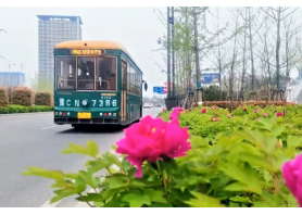 牡丹开出文旅新意 PP电子官网助洛阳迎盛会